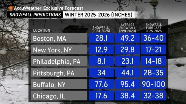 Winter brand asset featured on accuweather.com