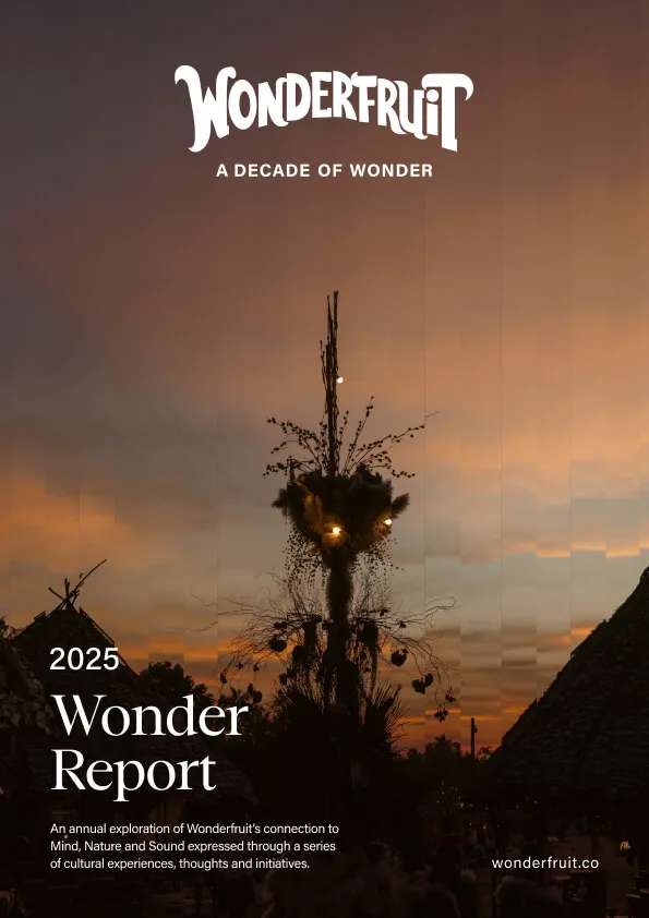 Wonder brand asset featured on wonderfruit.co