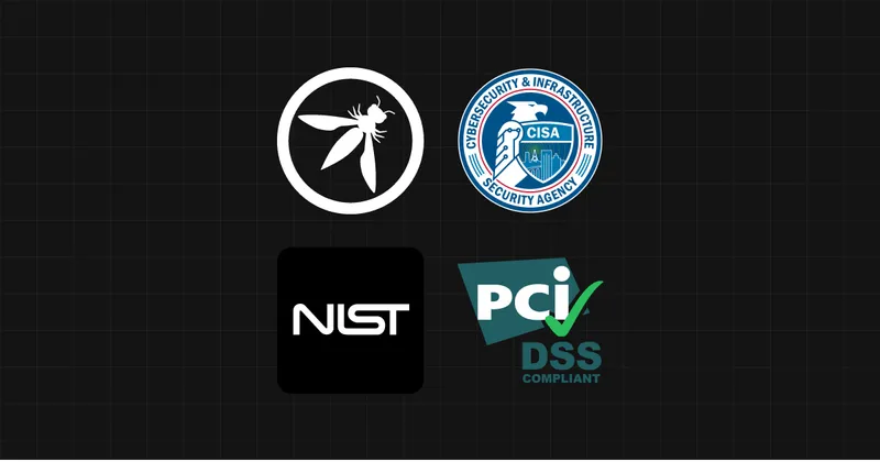 Xeol brand asset featured on xeol.io
