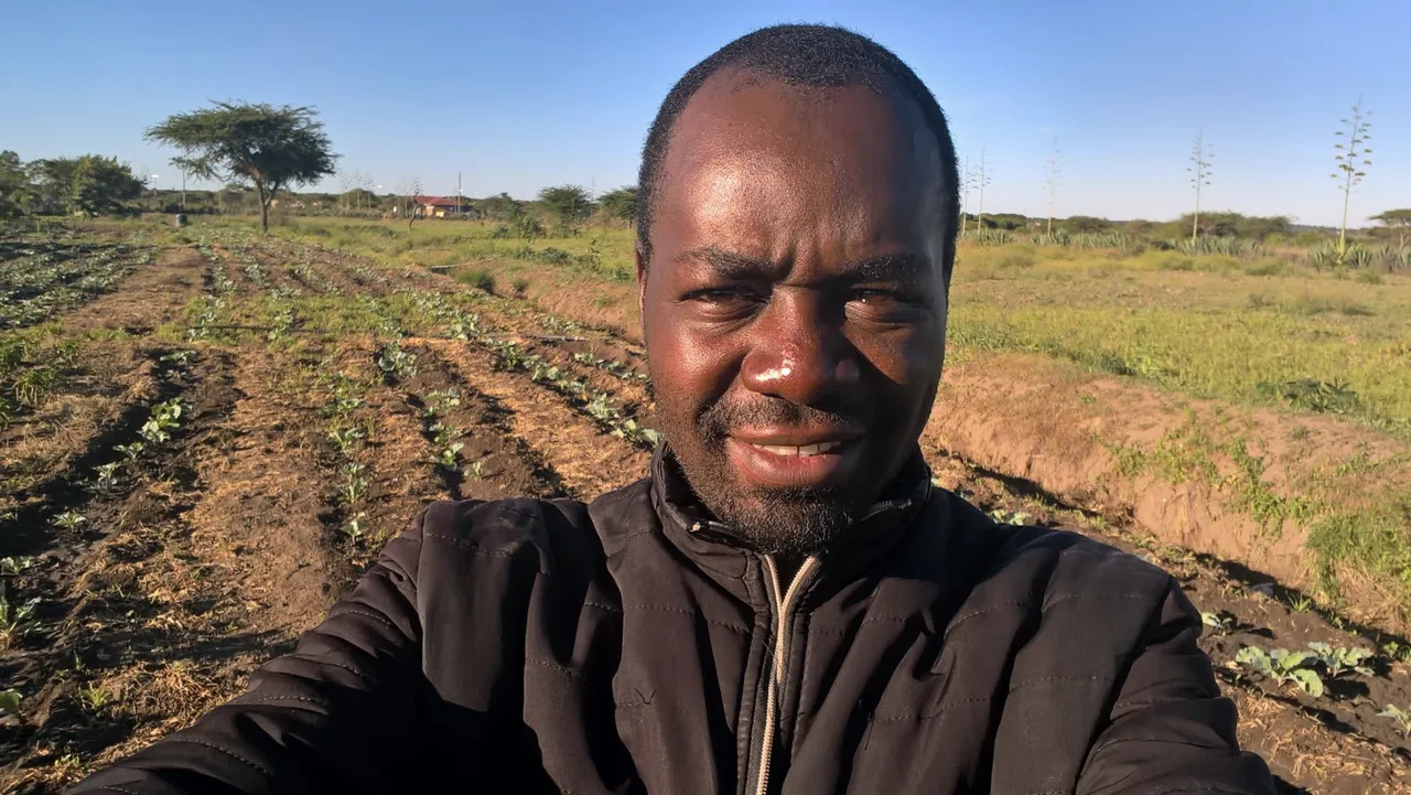 Zidisha brand asset featured on blog.zidisha.org